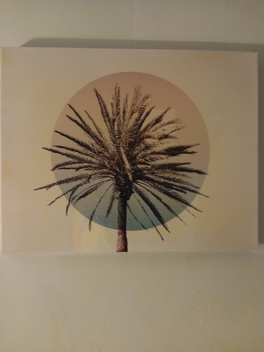 Palm Tree Circle Wall Art - Neutral Tones 32"×24"